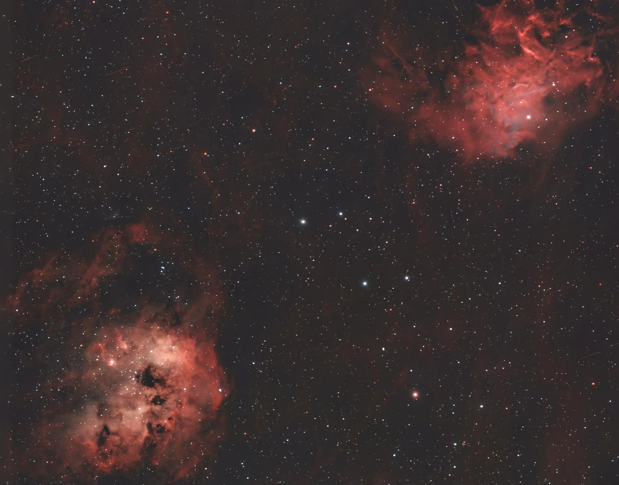 Renacuajos y estrella llameante